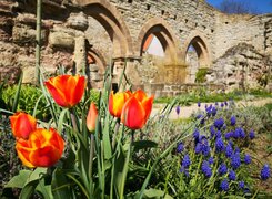 Memleben-Kloster-Memleben-Klostergarten