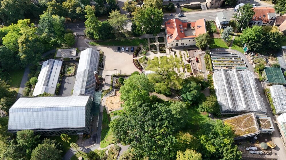 Führung: "Neues und Interessantes im Botanischen Garten"