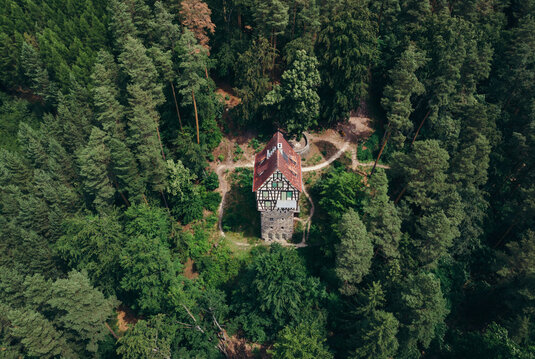 Der Herzogstuhl ist ein Fachwerkturm, der mitten im Waldgebiet steht. Wege führen um den Turm.