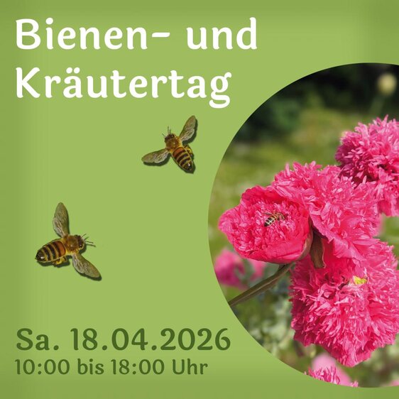 Bienen- und Kräutertag im Petrikloster