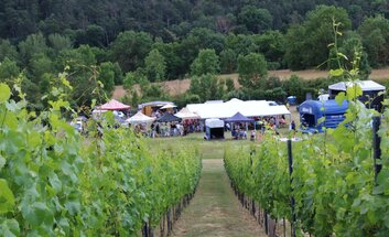 Querfurter Weinbergfest