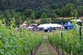 Querfurter Weinbergfest