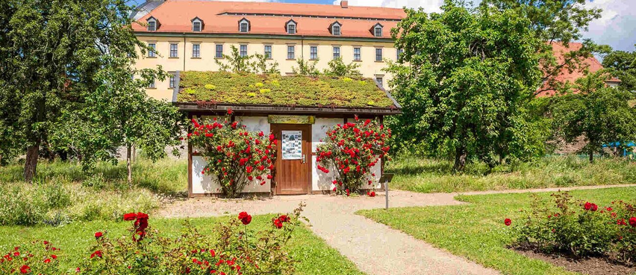 Gartentraum Schlosspark Moritzburg