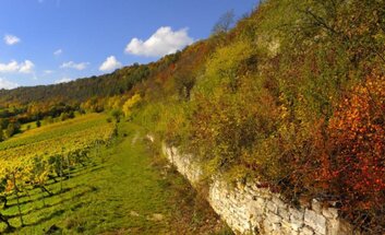Herbstwanderung