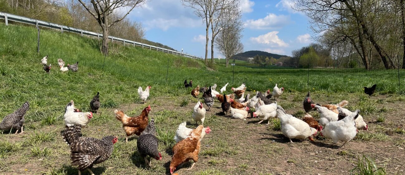 Hofladen Franke Direktvermarktung
