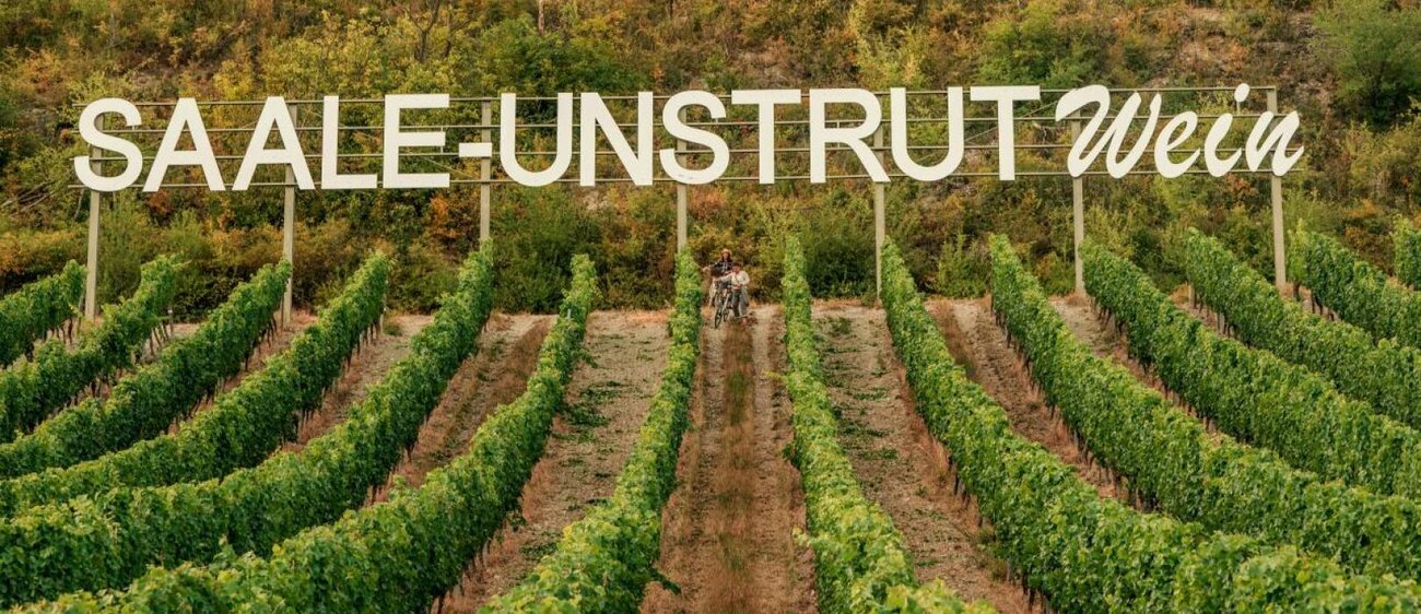 Saalhäuser Weinberge mit dem Schriftzug "Saale-Unstrut Wein" nahe dem Landesweingut Kloster Pforta bei Bad Kösen