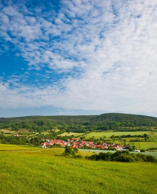 Landschaft im Reinstädter Grund