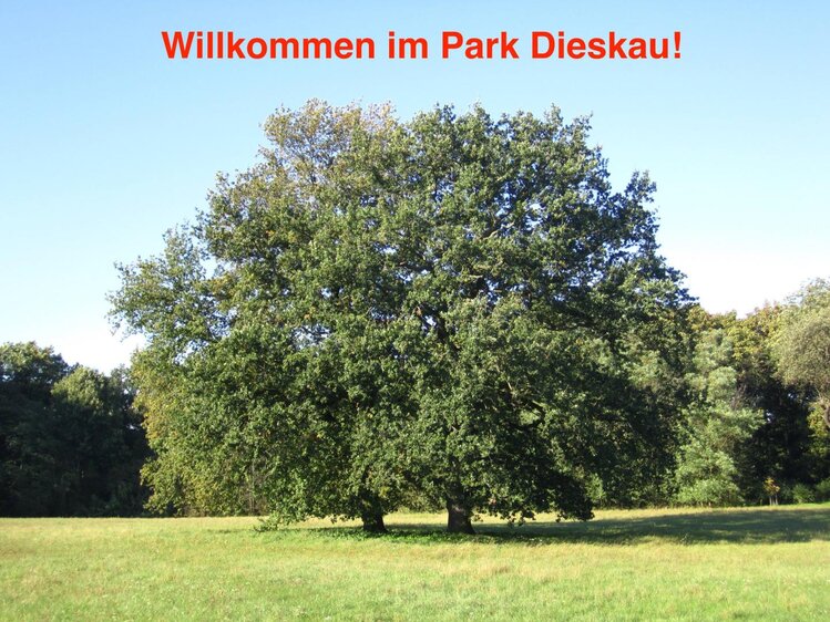 Gartenträume-Picknick "Denn nur von Lust erklingt mein Saitenspiel"