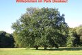 Gartenträume-Picknick "Denn nur von Lust erklingt mein Saitenspiel"