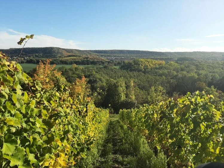 Wein & Balance