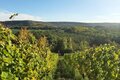 Wein & Balance