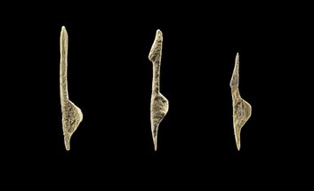 Themenabend: Jenseits der Fruchtbarkeit. Frauenbilder der Eiszeit im neuen Blick.