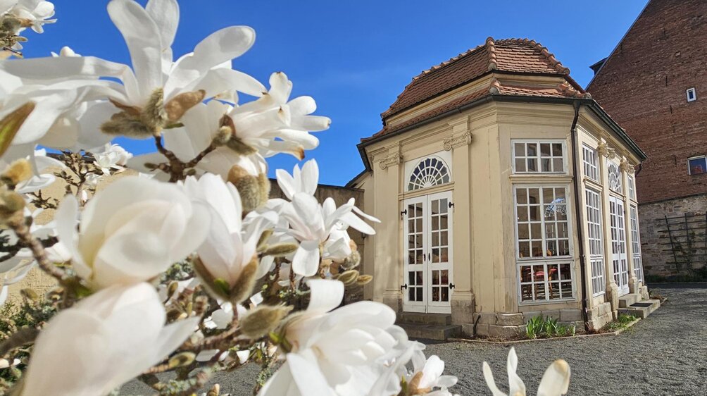 Lesung: „Novalis - Wo gehen wir denn hin?“