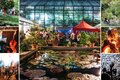 Sommerfest der Universität Jena