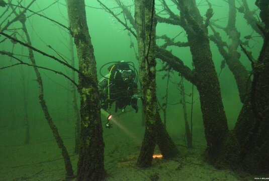 Taucher in den Tiefen des Geiseltalsees
