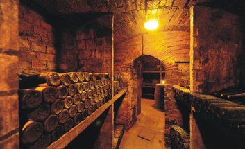 Tage der offenen Weinkeller im Landesweingut Kloster Pforta