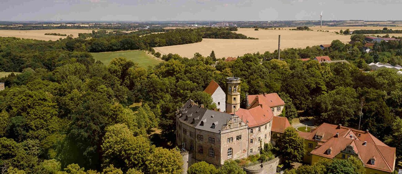 Blick auf Schloss Droyßig und das Droyßiger-Zeitzer-Forst