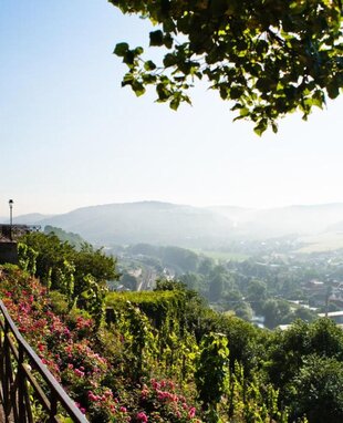 Die Dornburger Schlösser