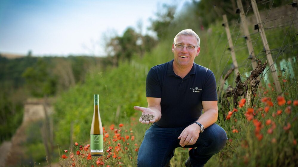 Herbstgenuss zur Traubenreife