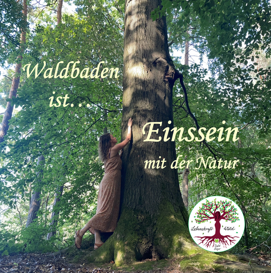 Waldbaden- Körper, Geist und Seele im Einklang mit der Natur