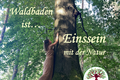 Waldbaden- Körper, Geist und Seele im Einklang mit der Natur