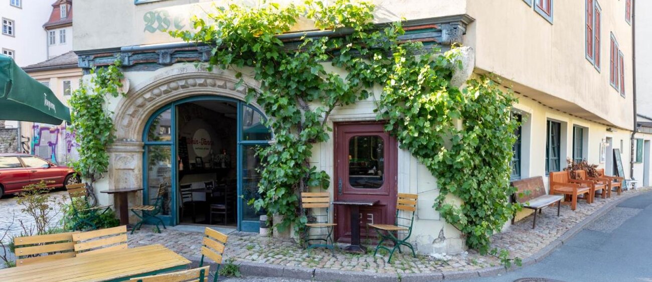 Wein-Tanne