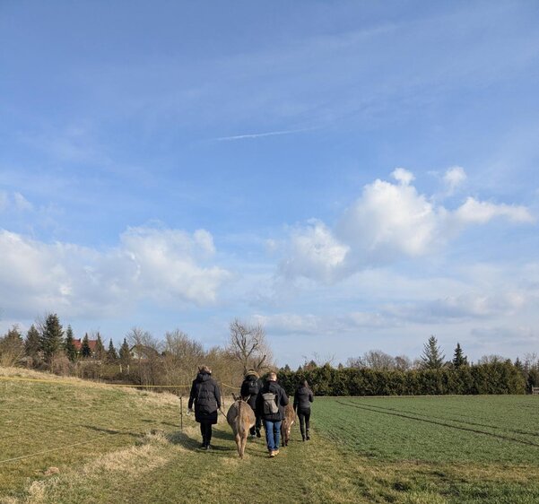 Spaziergang mit Eseln (und Ponys)