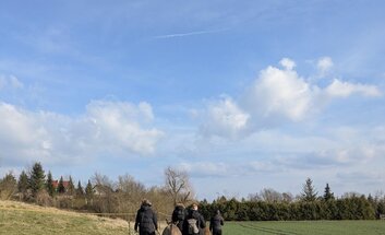 Spaziergang mit Eseln (und Ponys)