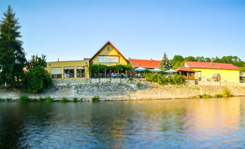 Alpaka Weinwanderung