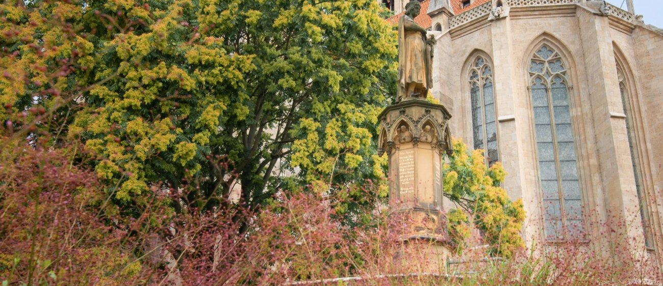 Dom St. Peter und Paul Naumburg