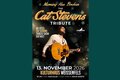 CAT STEVENS TRIBUTE - MORNING HAS BROKEN