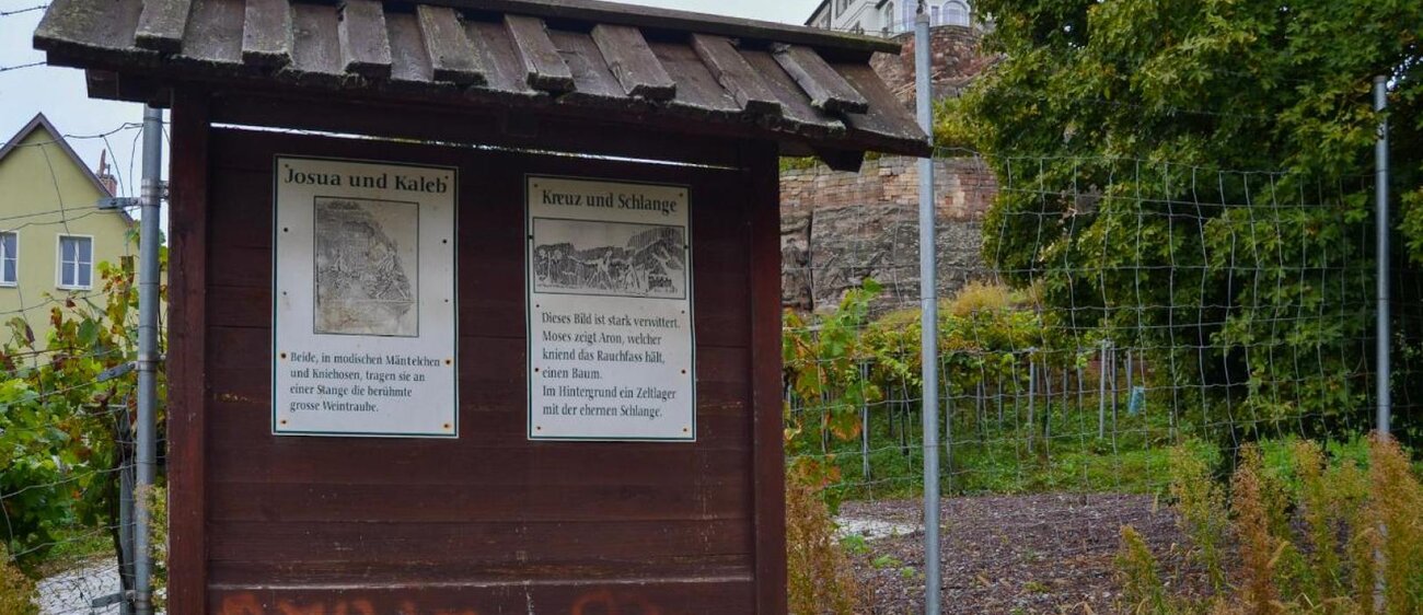 Steinernes Bilderbuch in Großjena