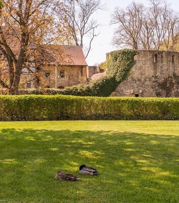 Wasserburg Schkölen