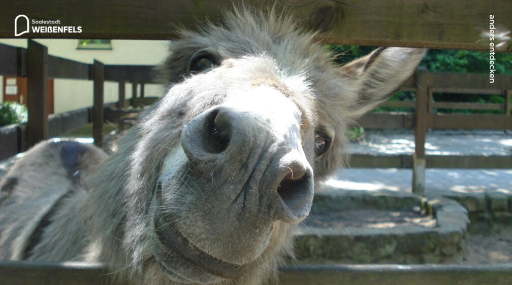 Heimatnaturgartenfest 2026