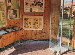 Nebra-Bienenlehrgarten-Ausstellung-2