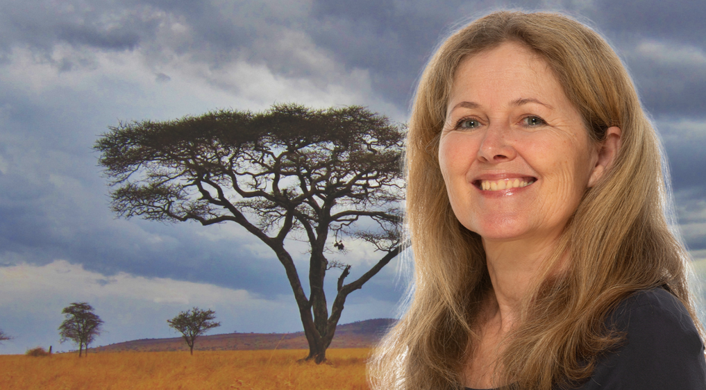 Lesefrühling: Silke Matzke - Südafrika im Spiegel seiner AutorInnen. Stimmen zwischen Apartheid und Aufbruch