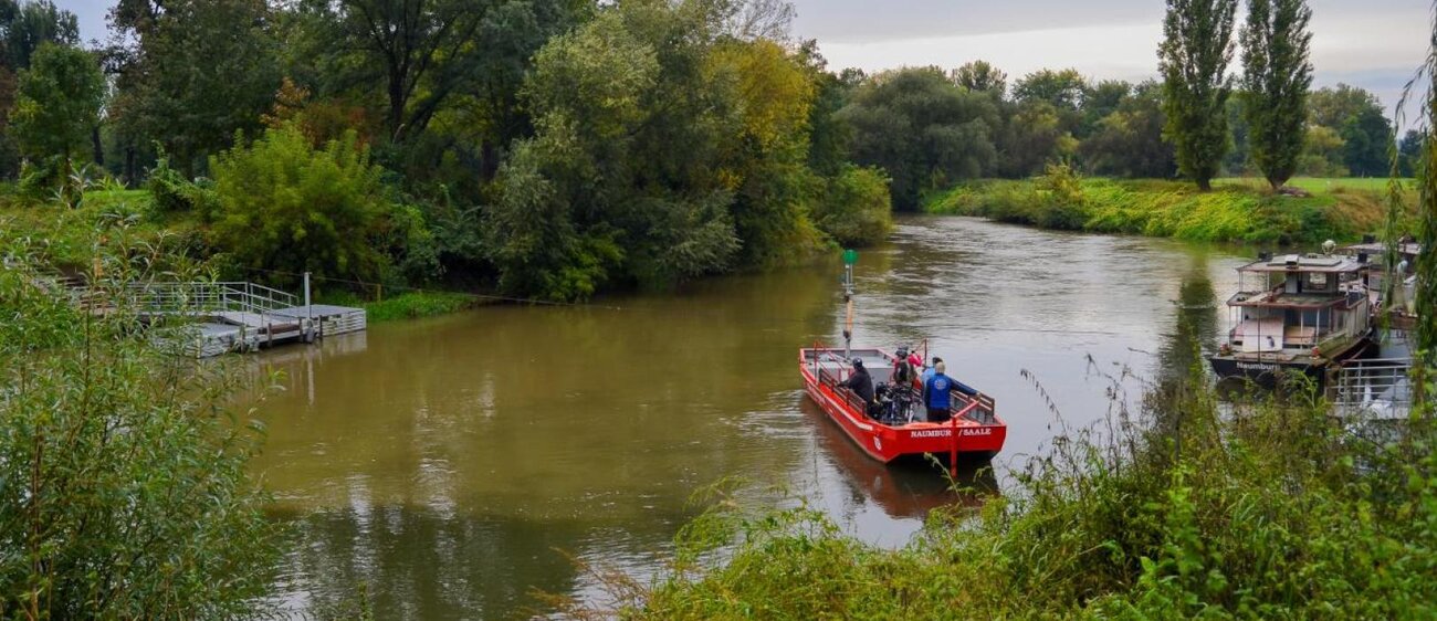 Fähre am Blütengrund Naumburg
