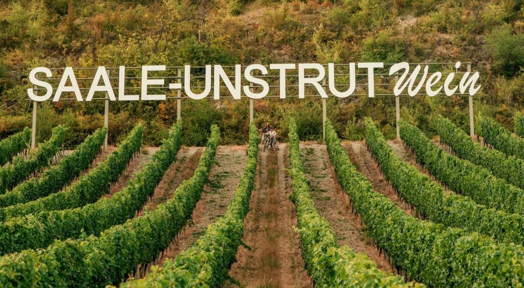 Saalhäuser Weinberge mit dem Schriftzug "Saale-Unstrut Wein" nahe dem Landesweingut Kloster Pforta bei Bad Kösen