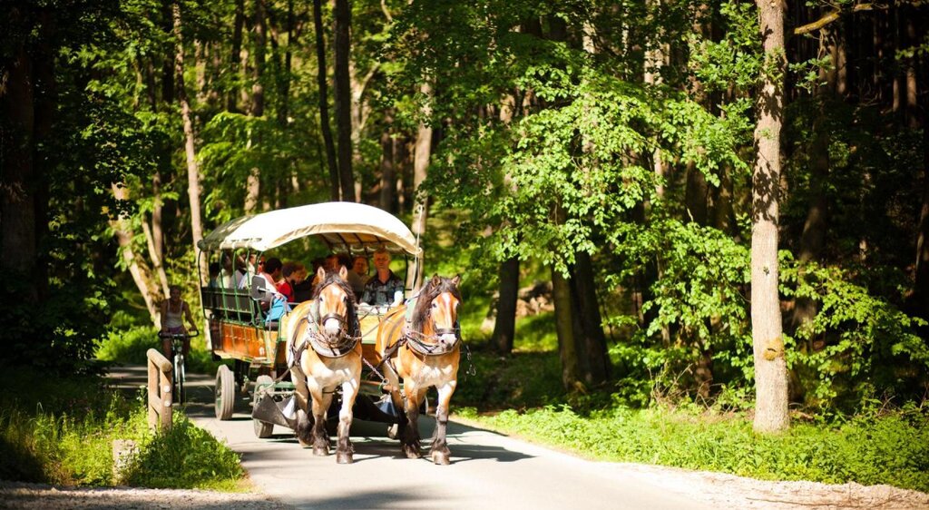 Kremser im Eisenberger Mühltal