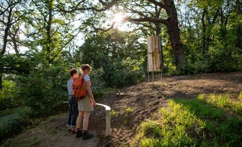 Arche Nebra Komplettprogramm: Planetariumsshow, geführte Wanderung und Führung am Fundort der Himmelsscheibe