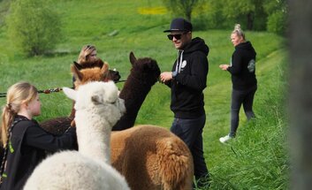 Alpakawanderung durch das Wethautal