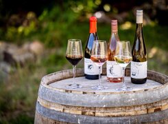 Bad-Bibra-Weinhaus-Siegmund-Klingbeil-Weine