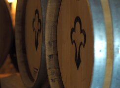 Freyburg-Edelbrennerei-Schloss-Neuenburg-Fasskeller