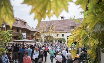 Traditionelles Federweißerfest
