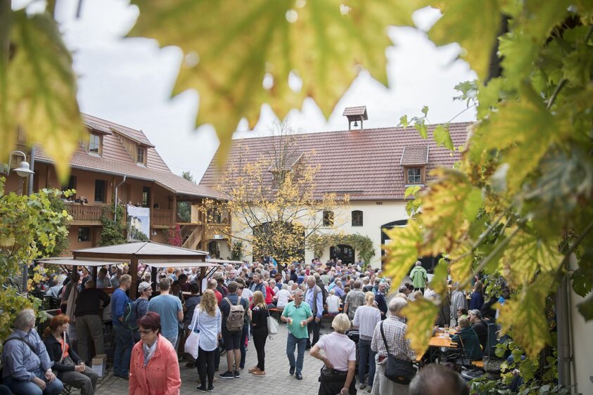 Traditionelles Federweißerfest