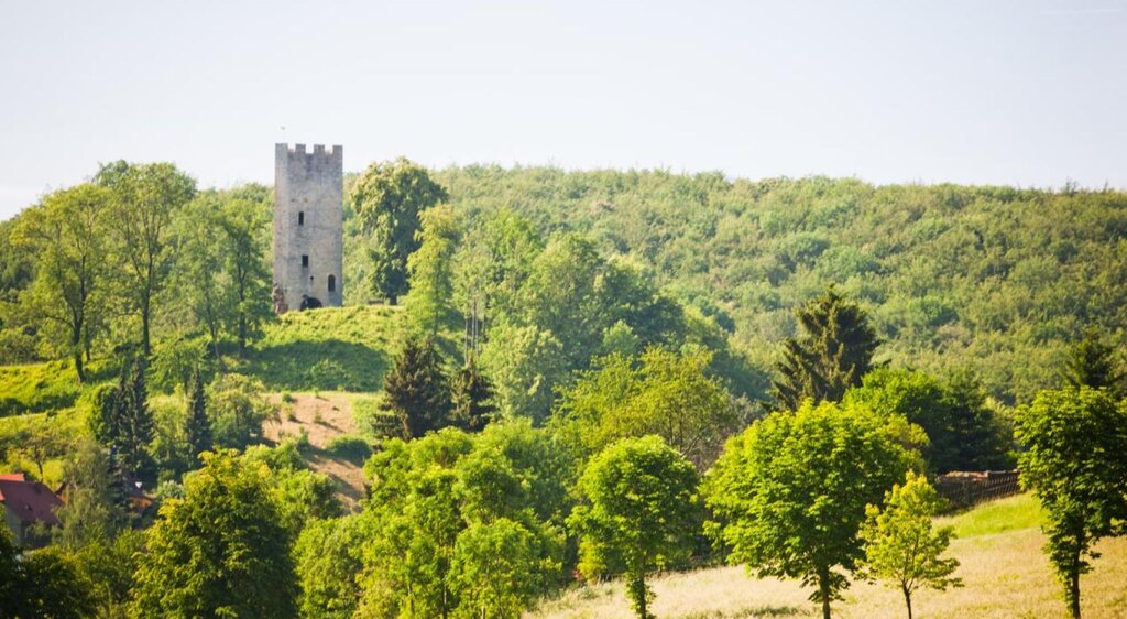 Burgruine Tautenburg-Tautenburg