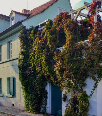 Nietzsche-Haus und Dokumentationszentrum Naumburg