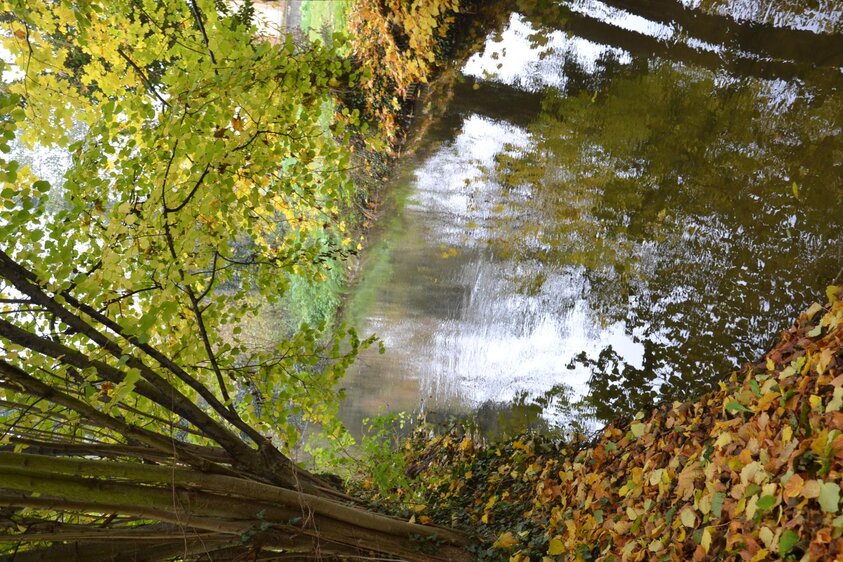 Pfortenser Alpaka-Wanderung