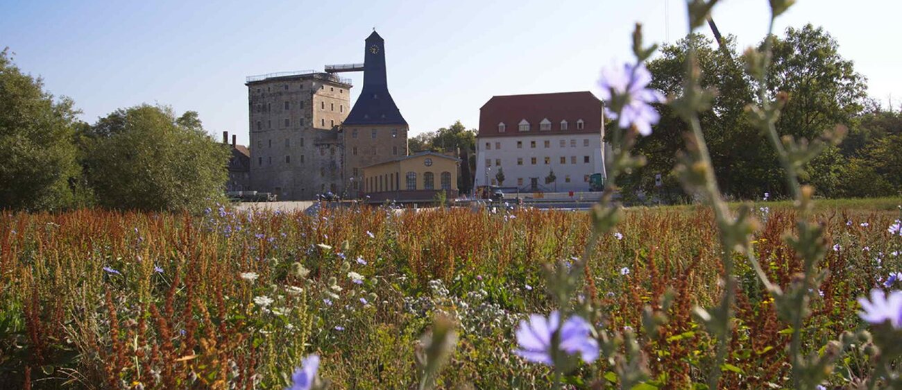 Das Borlachmuseum und Altes Salzamt