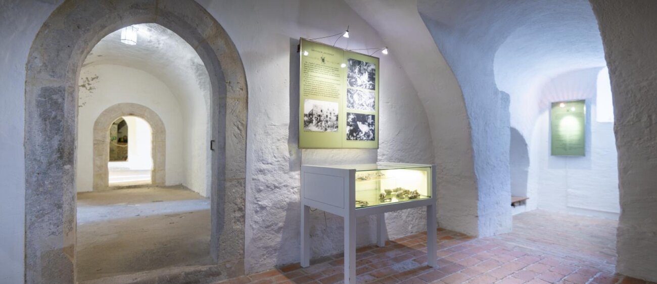 Schloss Neuenburg Freyburg